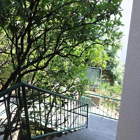 Janika דירה *